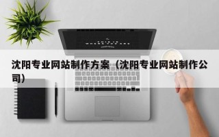 大悟沈阳专业网站制作方案（沈阳专业网站制作公司）